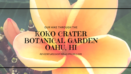 Koko Crater Botanical GardenOahu, HI